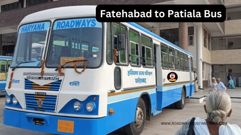 Fatehabad to Patiala Bus
