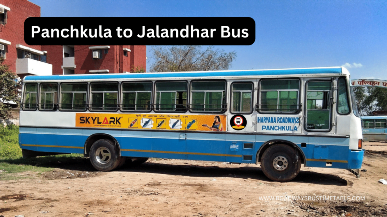 Panchkula to Jalandhar Bus