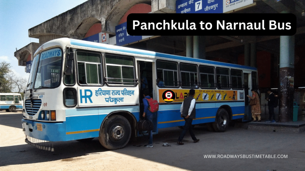 Panchkula to Narnaul Bus