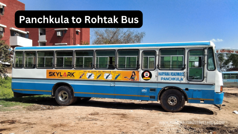 Panchkula to Rohtak Bus