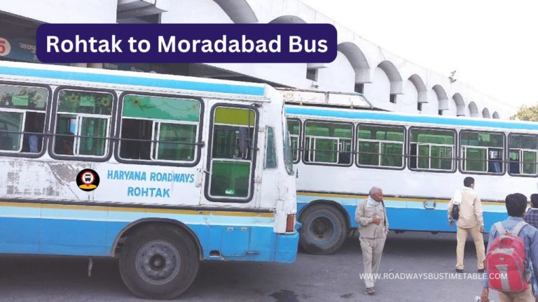 Rohtak to Moradabad Bus