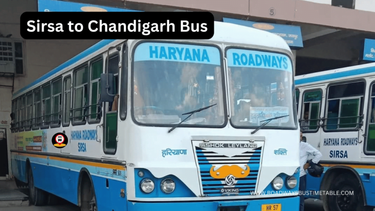 Sirsa to Chandigarh Bus